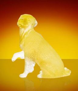 Golden Retriever chien Daum  