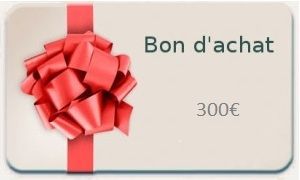 Carte cadeau d'une valeur de 300€