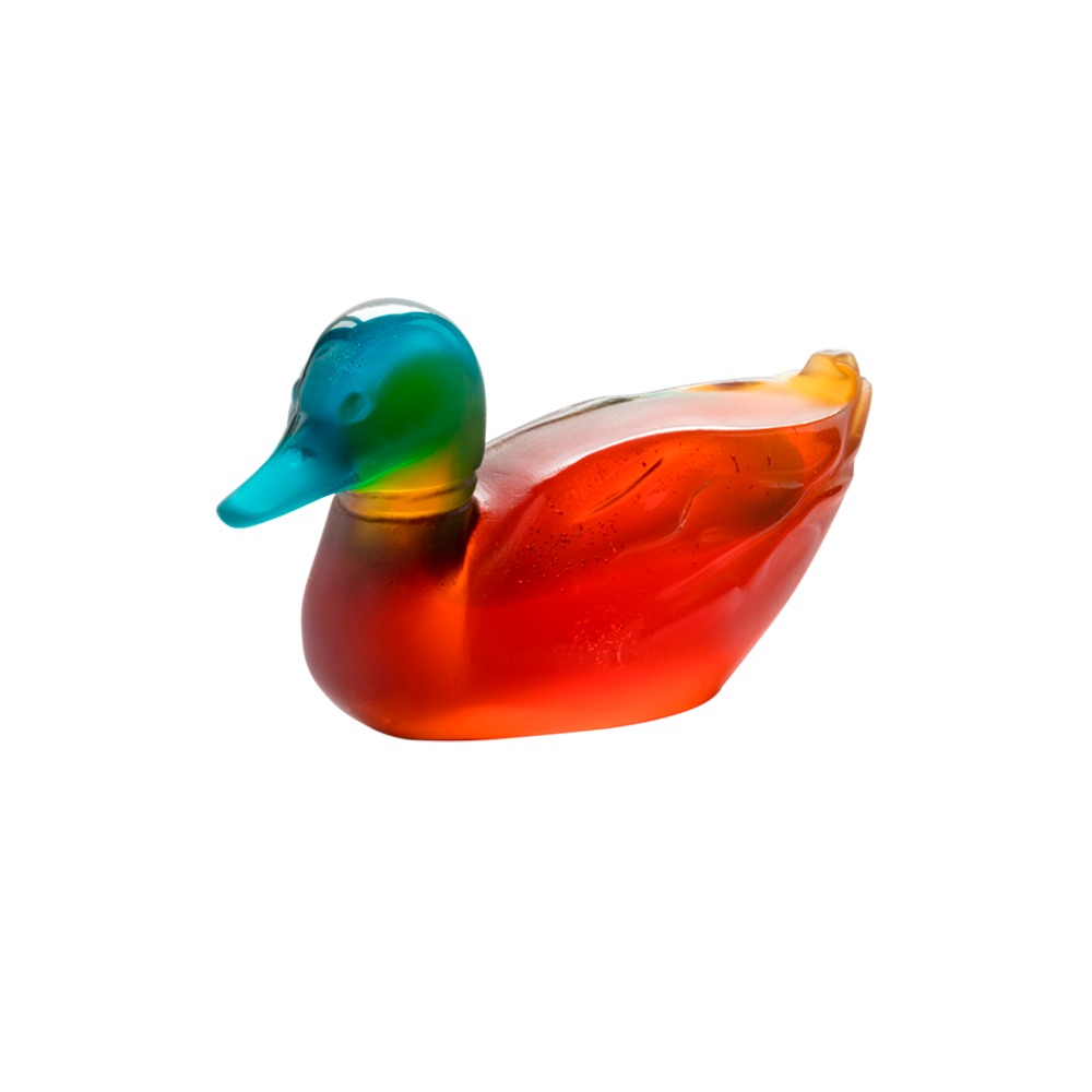 Canard Colvert Daum 2018