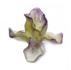 Fleur Iris violette Daum
