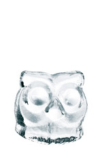 Owl Nachtmann Transparent Small Model