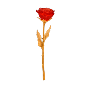 Fleur Rose Eternelle Rouge Daum col. 2018