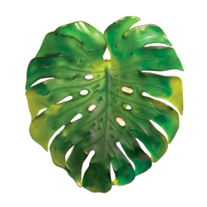 Applique en pâte de verre de la prestigieuse cristallerie Daum, collection Monstera réalisée en collaboration avec l'artiste Emilio Robba. Couleur verte, grand modèle.