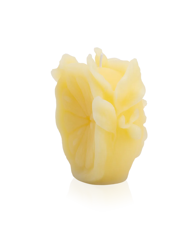 Bougie Citrus Daum - Jaune – Image 2