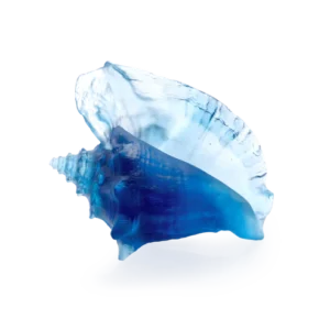 Sculpture d'un coquillage conque bleu en pâte de verre de la prestigieuse cristallerie Daum, collection Mer de Corail.