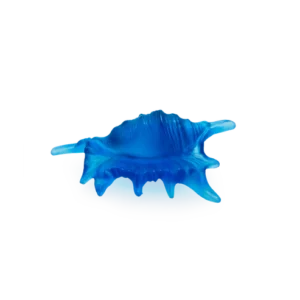 Sculpture d'un coquillage bleu en pâte de verre de la prestigieuse cristallerie Daum, collection Mer de Corail. Petit modèle.
