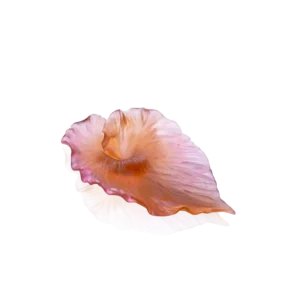 Coupe en pâte de verre de la prestigieuse cristallerie Daum, collection Arum. Couleur ambre rose.