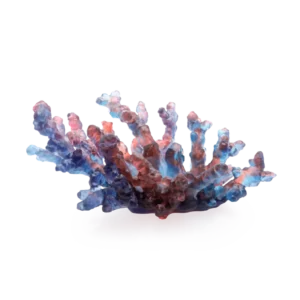 Coupe en pâte de verre de la prestigieuse cristallerie Daum, collection Mer de Corail. Couleur bleue & rouge, moyen modèle.