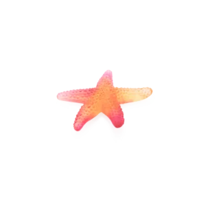 Sculpture d'un étoile de mer rouge aurore en pâte de verre de la prestigieuse cristallerie Daum, collection Mer de Corail.