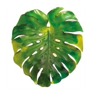 Feuille murale en pâte de verre de la prestigieuse cristallerie Daum, collection Monstera réalisée en collaboration avec l'artiste Emilio Robba. Couleur verte, grand modèle.