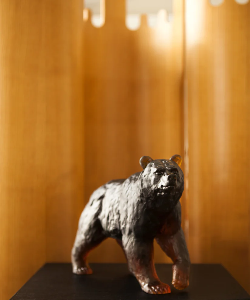 Ours Brun Daum – Image 4