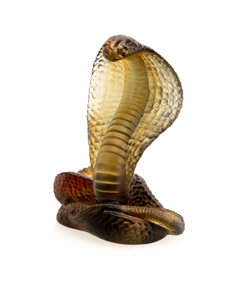 Serpent Naja Daum - Ambre & Gris – Image 2