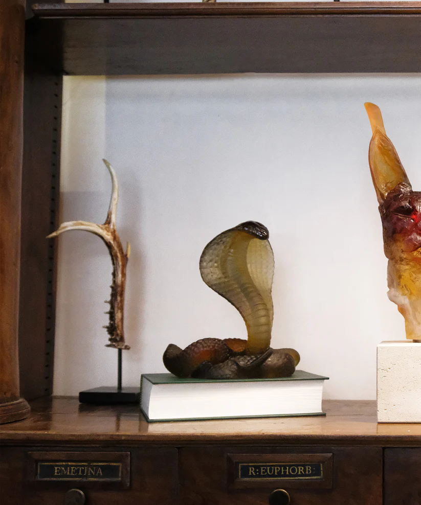 Serpent Naja Daum - Ambre & Gris – Image 4