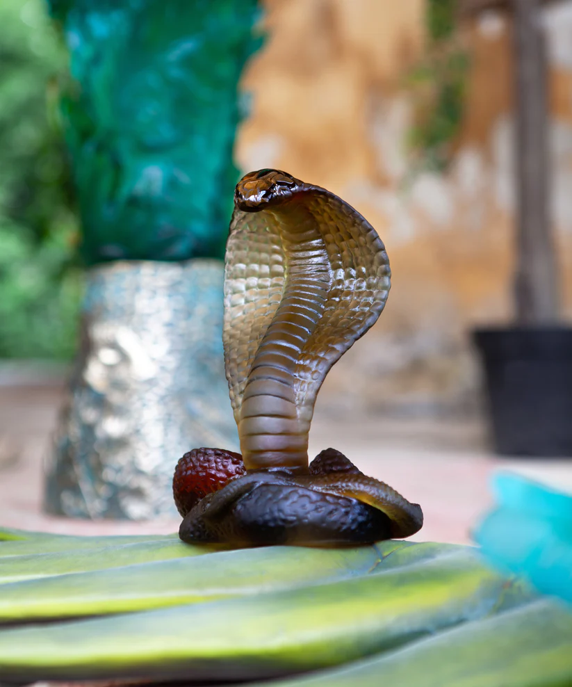 Serpent Naja Daum - Ambre & Gris – Image 3